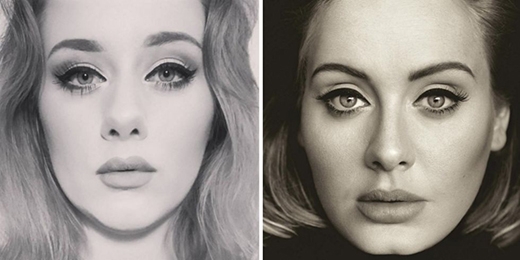 
Những đường nét và ánh mắt của cô gái Thụy Điển được nhận xét giống với Adele như chị em sinh đôi. (Ảnh: Internet)