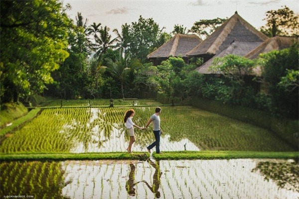 
10. Ubud, Indonesia: Thuộc vùng Bali nổi tiếng của Indonesia, Ubud là điểm nghỉ dưỡng hoàn hảo, với những khu rừng mưa, ruộng bậc thang, các ngôi đền Hindu cổ kính. Du khách sẽ có một kỳ nghỉ thư giãn, đắm mình trong không gian thuần khiết của thiên nhiên, cũng như trải nghiệm nền văn hóa độc đáo của người dân địa phương. Ảnh: Ilookandsee.