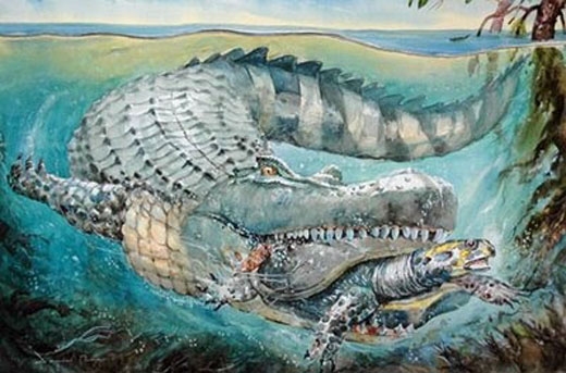 
Cá sấu Purassaurus còn ăn rùa biển và nhiều động vật khác nữa. (Ảnh: Internet)