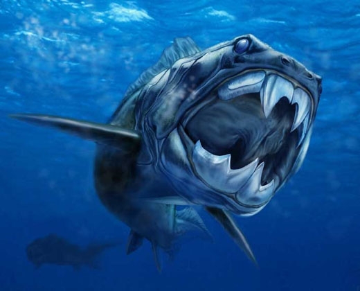 
Những hóa thạch của loài cá này cho thấy chúng dài tối đa đến 10 mét và nặng khoảng 4 tấn. (Ảnh: Internet)