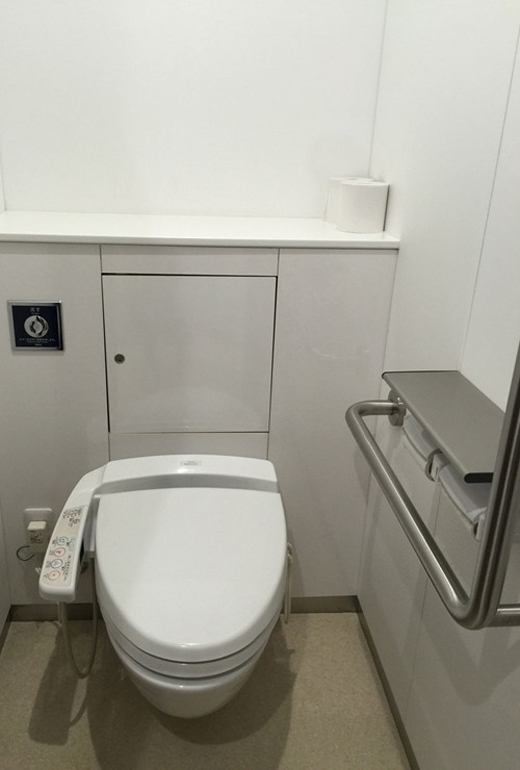 
Thiết kế có tay vịn ngang bồn toilet để những đối tượng này có thể vịn vào khi đứng lên hoặc ngồi xuống. (Ảnh: Internet)