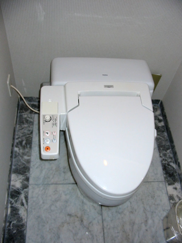 
Nhà vệ sinh Nhật được thiết kế cầu kì và sử dụng bằng điện nên chúng luôn khô thoáng và tách biệt với nhà tắm. (Ảnh: Internet)