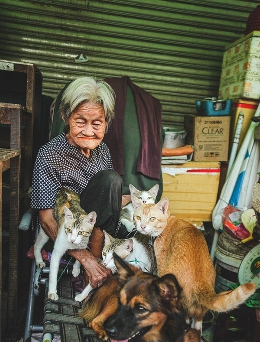 
Chuyện cổ tích đời thường của bà cụ bán rau và bầy mèo hoang làm bao người thổn thức. (Ảnh: Internet)