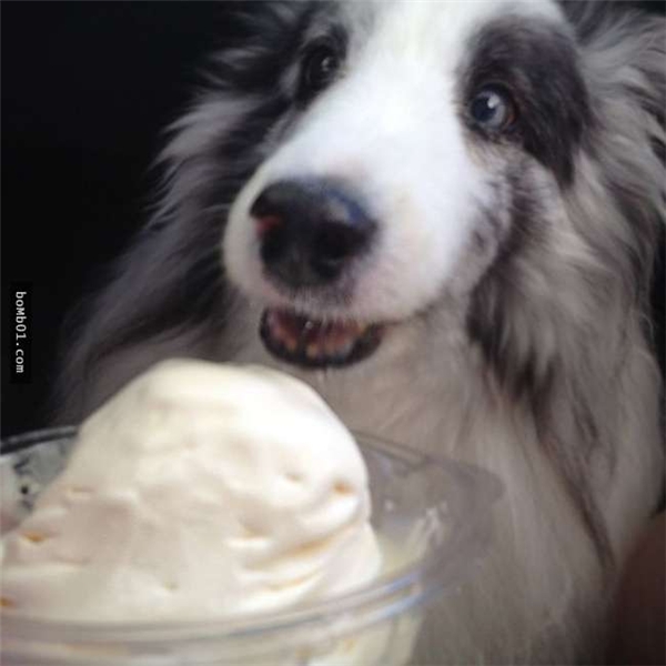 
"Mẹ ơi! Cho con ăn kem với!" (Ảnh: Internet)