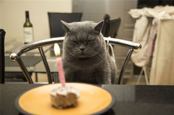 
"Đã bảo là không thích tổ chức sinh nhật rồi mà. Cứ bắt người ta ngồi rồi chụp hình đăng lên mạng cơ". (Ảnh: Internet)