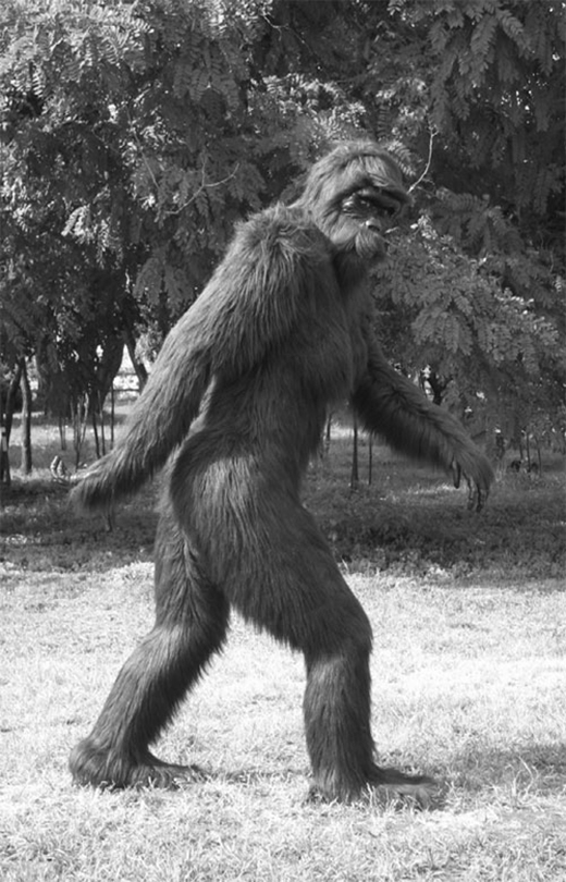 
Hình ảnh quái vật Bigfoot. (Ảnh: Internet)
