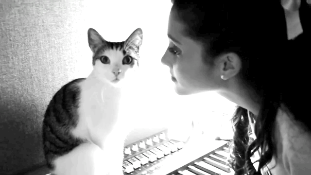 
Đến nổi tiếng như Ariana Grande cũng không thể tỏ tình được với chú mèo của mình.
