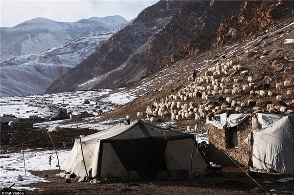 
Nhiếp ảnh gia Cat Vinton đã dành hơn 2 tháng sống với một gia đình người Chang Tang-Pa ở biên giới Tây Tạng - Ấn Độ. Cô ngủ trong lều làm từ da trâu yak cùng họ.