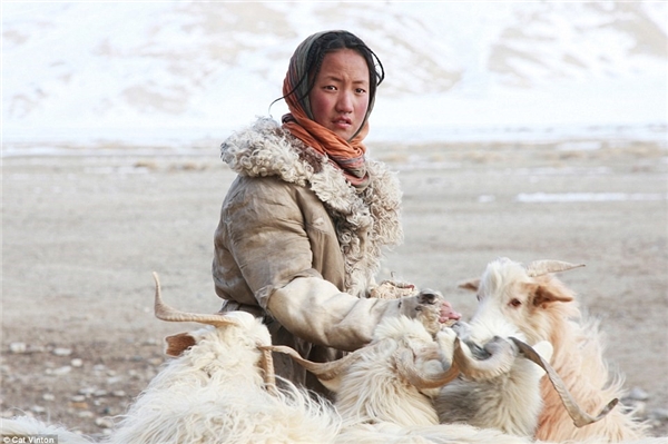 
Sonam 12 tuổi. Cô bé có nhiệm vụ đảm bảo đàn dê của gia đình có đủ thức ăn - một điều khó khăn khi phần lớn đất đai nằm dưới lớp tuyết dày.