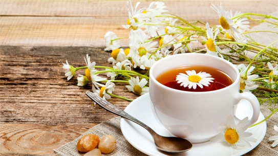 
Trà hoa cúc: Hoa cúc là một vị thuốc đã được sử dụng từ rất lâu. Hoa cúc có tính kháng khuẩn và chống viêm rất có lợi trong điều trị loét miệng lưỡi. Trà hoa cúc có tác dụng làm dịu vết rộp hay vết loét lưỡi. Bạn nên uống trà hoa cúc 3-4 ngày để giảm các triệu chứng loét.