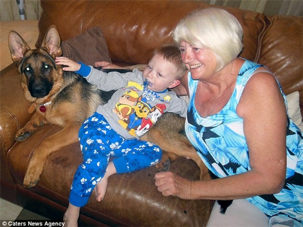 
Đứa cháu trai 2 tuổi Kayden và chú chó cưng Karma của bà Iris thường xuyên ngủ trưa cùng nhau và là một đôi bạn vô cùng thân thiết. (Ảnh: Internet)
