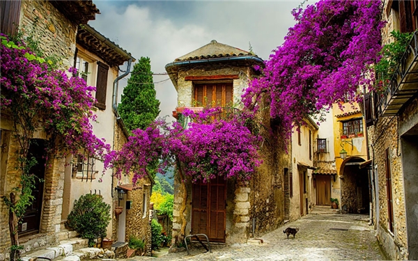 
Một ngôi làng nhỏ ở Provence, Pháp (Ảnh: Internet)