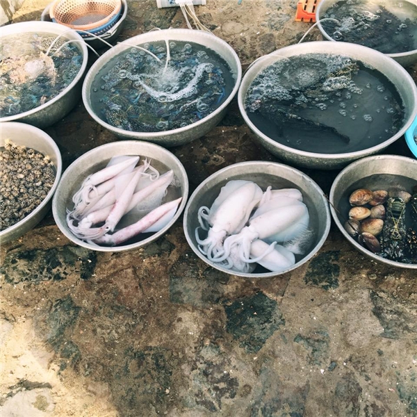 Chợ Phan Thiết - Trải nghiệm đi chợ ở Phan Thiết để tìm hiểu cái hay, cái lạ của người dân vùng biển