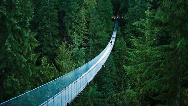 
Cây cầu treo Capilano, Canada, cho phép du khách thưởng thức khung cảnh rừng sâu bao la khi thả bước trên cây cầu dài 140m này.