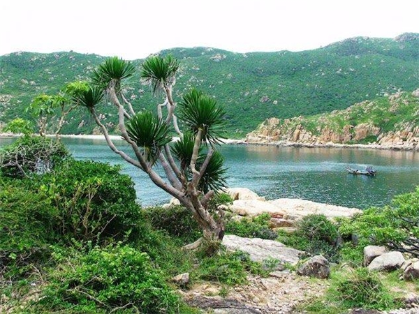
Vườn quốc gia Núi Chúa nằm phía đông bắc tỉnh Ninh Thuận, thuộc huyện Ninh Hải, có diện tích gần 30.000ha cùng chiều dài 57km. Tuy tại đây ít mưa nhưng lại có “Hồ treo” quanh năm nước trong xanh cùng nhiều con suối lớn như Lồ Ô, Đông Nha, Kiền Kiền không bao giờ cạn nước. (Ảnh: Internet)