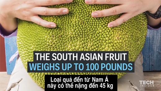 Đây chính là loại trái cây có khả năng cứu cả thế giới