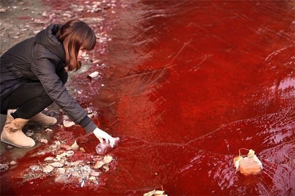 
"Dòng sông máu" kinh khiếp này cũng không khiến con người nỗ lực cải thiện môi trường thiên nhiên nữa.