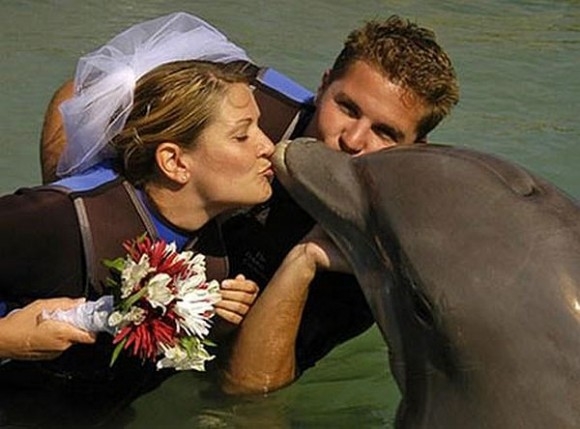
Đám cưới của cô dâu Sharon và chú rể cá heo được diễn ra vào năm 2006