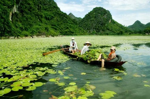 Du lịch Việt Nam - Những nơi cắm trại chưa tới 300k sẽ khiến bạn “phát cuồng” chỉ cách Hà Nội 50km 