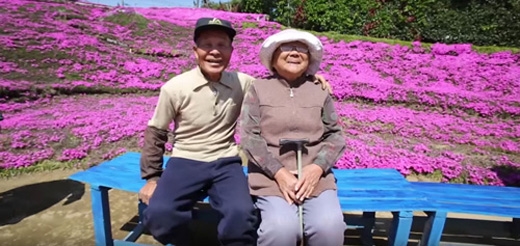  
Ông Toshiyuki Kuroki đã cặm cụi trồng một vườn hoa tặng vợ  - bà Yasuko, 79 tuổi. Người vợ của ông bị mù và không thể nhìn thấy gì, vì thế ông đã trồng mọt vườn hoa đầy hương thơm để ngày ngày dẫn vợ đi dạo, mang lại niềm vui cho vợ.