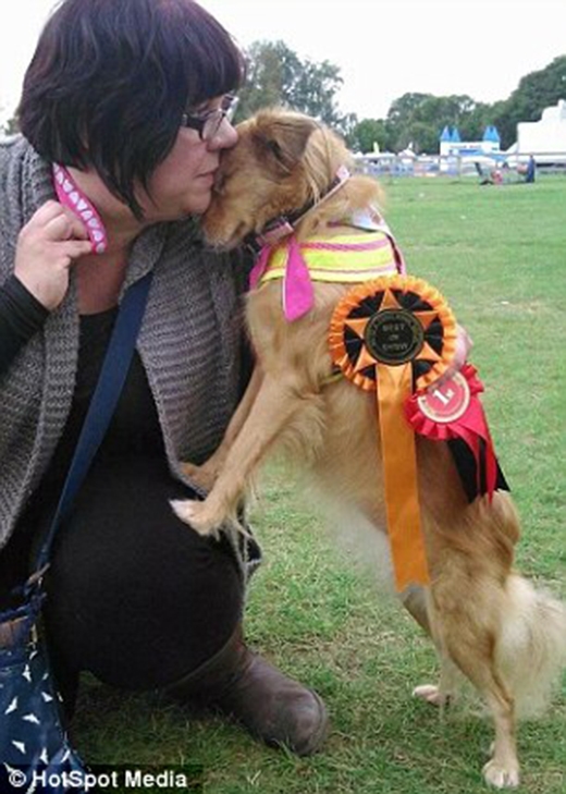 
Hiện Nym đang đại diện cho Rescue Blind Dog UK đi thi cuộc thi tài năng cho chó. (Ảnh: Internet)
