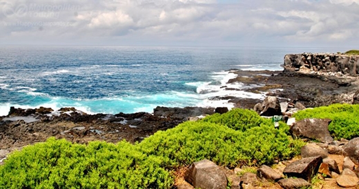 
Du lịch hóa là một trong những nguyên nhân khiến Galapagos đứng bên bờ "xóa sổ". (Ảnh: Internet)