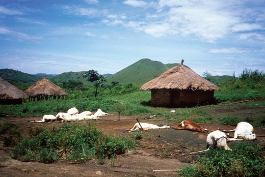 
Sau khi một đám mây kỳ lạ kéo ngang qua bầu trời, toàn bộ người dân làng Nyos, Cameroon cùng gia súc bỗng nhiên chết hàng loạt.