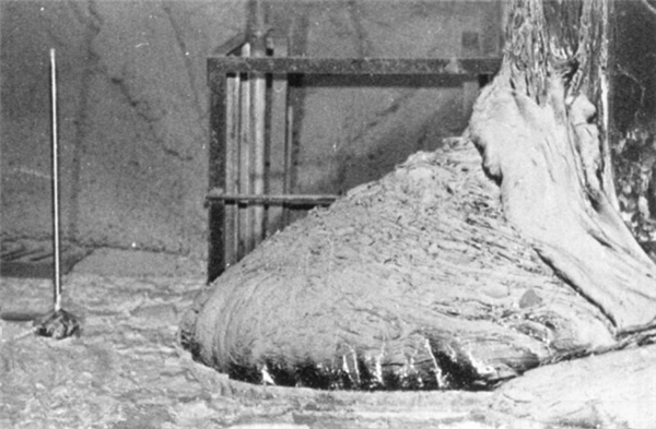 
Tấm ảnh trên có tên là “Chân voi” (“Elephant’s Foot”) hay còn gọi là “Chân voi Medusa”. Tất nhiên đây không phải là một cái chân voi, mà chính là khối chất thải nặng hơn trăm tấn chảy ra sau thảm họa hạt nhân ở Chernobyl. Để chụp được tấm ảnh này, không biết bao nhiêu người đã phải bỏ mạng, vì đây là đống chất thải mang lượng phóng xạ nhiều nhất và nguy hiểm nhất thế giới. (Ảnh: Internet)