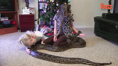 
Hai cô bé đã chơi với rắn ngay từ khi còn nhỏ.
