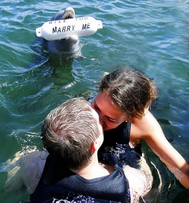 
Có chú cá heo dễ thương thế này cầu hôn là sướng nhất đời rồi, vậy mà cô nàng lại đi chọn chàng trai kia là sao?!