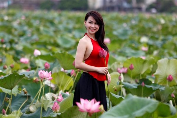 Du lịch Hà Nội - Ngỡ ngàng trước những đầm sen đẹp như tranh ở Hà Nội