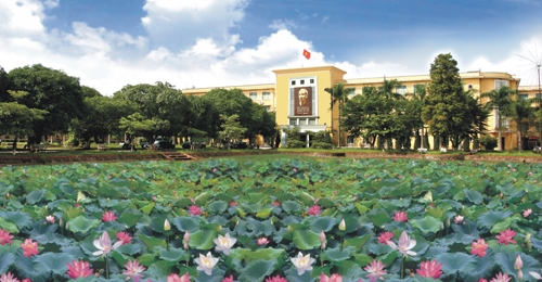 Du lịch Hà Nội - Ngỡ ngàng trước những đầm sen đẹp như tranh ở Hà Nội