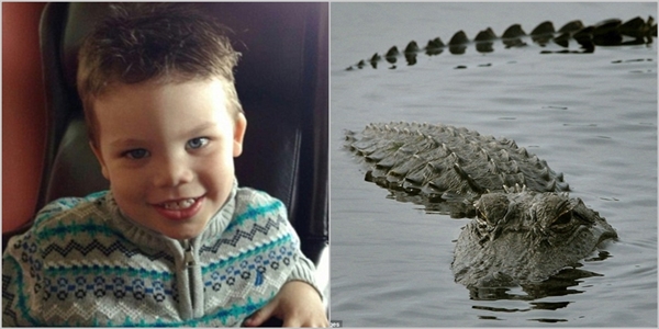 
Bé Lane Graves (2 tuổi) đã mất mạng vì bị cá sấu tấn công tối thứ Ba vừa qua tại công viên Disney. (Ảnh Internet)