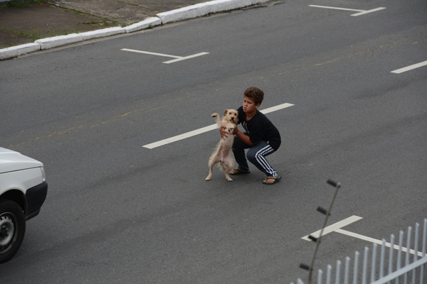 
Cậu bé 11 tuổi người Brazil có tên Fernandes đã lao ra đường để cứu một chú chó khỏi bị xe đâm phải.