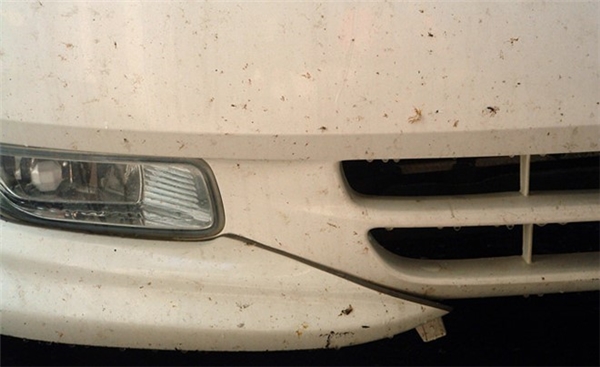 
Côn trùng thường chui vào chỗ kín gió trên xe để làm tổ. (Ảnh: internet)