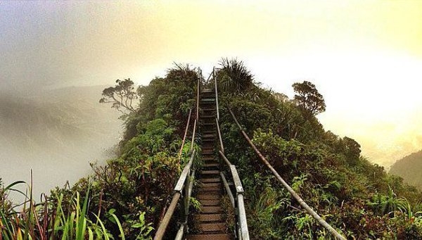 
Haiku Stairs được xây dựng vào đầu những năm 1940 làm trạm thu phát thông tin liên lạc của Mỹ trong Thế chiến 2. Những bậc thang bám theo triền dốc thung lũng Haiku đến đỉnh Koolaus phủ đầy mây trắng. Khi lên đến đỉnh, du khách có cơ hội ngắm toàn cảnh đảo Oahu nằm bên dưới. Một cơn bão gần đây khiến cầu thang bị phá hủy đáng kể.
