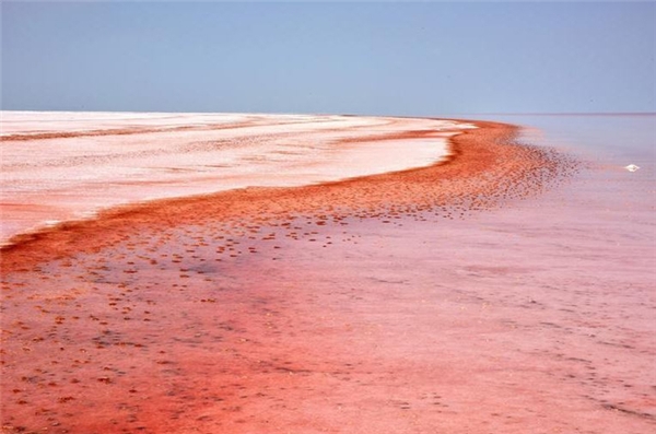 
Màu đỏ như máu của hồ lớn thứ 2 thế giới là do một loại tảo tạo thành. Đây còn là quê hương của rất nhiều loài hồng hạc tuyệt đẹp.