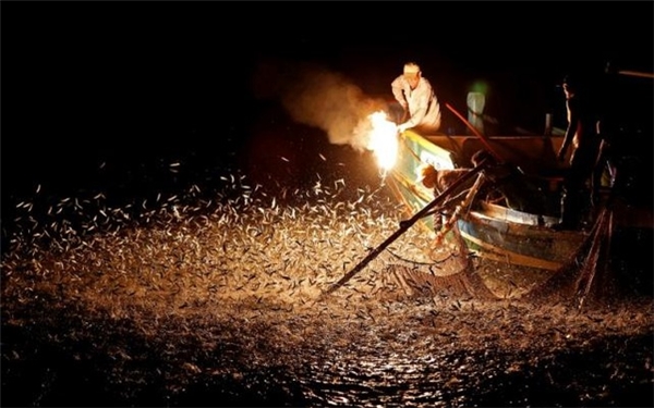 
Đánh bắt cá bằng đèn đuốc là một nét văn hóa rất đặc trưng. Tuy nhiên, do công nghệ đánh bắt ngày càng hiện đại nên phương pháp này đã không được coi trọng như trước.