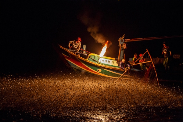 
Bắt đầu từ 2g sáng, dòng sông lập lòe ánh đuốc của những người đi đánh cá đêm. Thuyền là phương tiện hiệu quả được người dân đánh cá sử dụng.