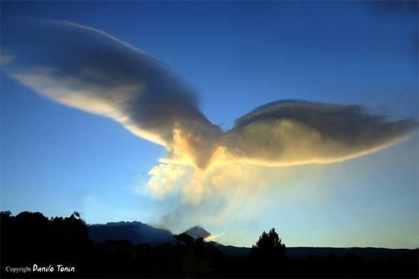 Ngỡ ngàng tự hỏi đây là những đám mây hay bọn thú biến hình?