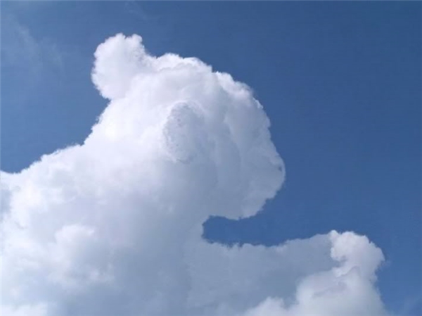 
Simba phiên bản mây chăng? (Ảnh: Internet)