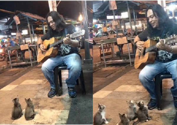 
"Những anh bạn nhỏ này rất yêu âm nhạc đấy, ngày nào cũng ra nghe chàng nghệ sĩ đường phố này đàn hát hết". (Ảnh: BuzzFeed)