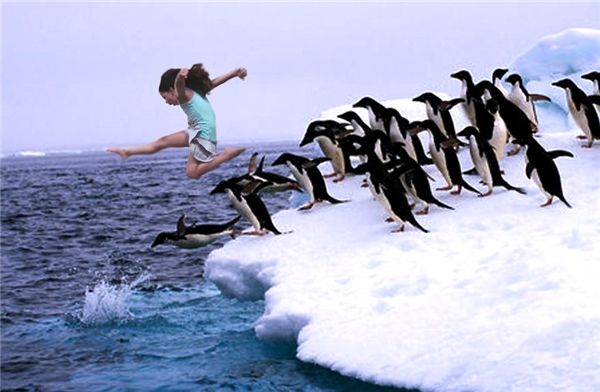 
Callia tự do bay nhảy cùng bầy chim cánh cụt.