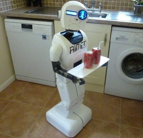 
Robot thông minh sẽ đảm nhiệm hết tất cả công việc của phụ nữ. (Ảnh: internet)