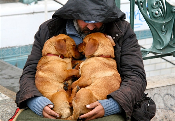 Rơi lệ trước tình cảm của người vô gia cư dành cho những chú chó