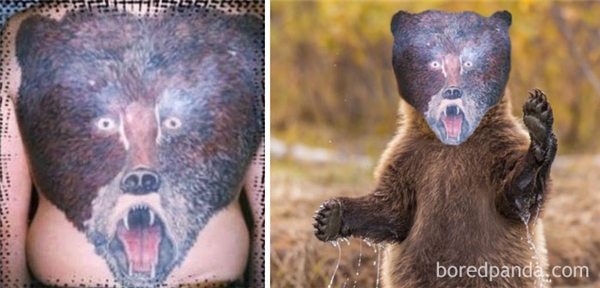 
Bé gấu có khuôn mặt thảng thốt gây hoảng hốt cộng đồng mạng.