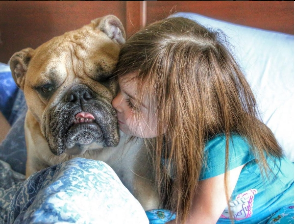 
Cô chủ nhỏ cũng không quên tặng Harvey một cái hôn thay cho lời cảm ơn vì đã luôn bên cạnh cô đến giờ phút này.