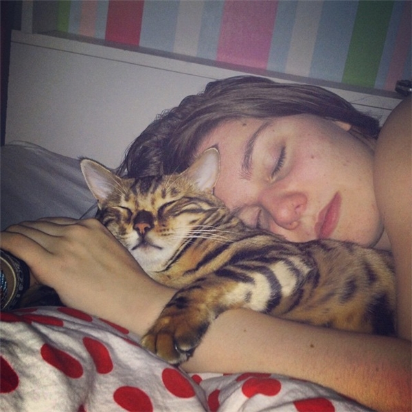 
Thế nhưng Thor vẫn là một chú mèo rất ngoan ngoãn và biết điều, thích nằm gọn trong vòng tay cô chủ ngủ ngon lành.