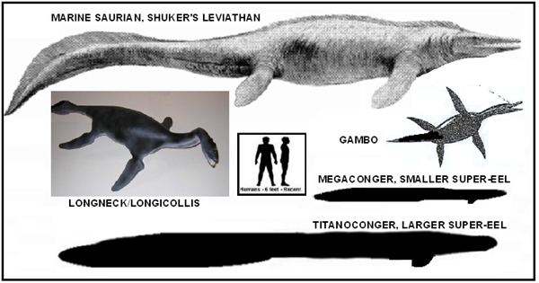 
Bí ẩn quanh quái vật Gambo vẫn chưa có lời giải dù nó từng được so sánh về ngoại hình với một số loài khủng long.