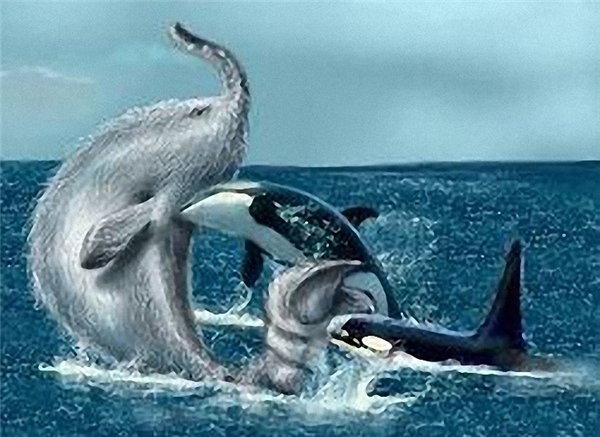 
Hình vẻ miêu tả cảnh thủy quái Trunko đối đầu với hai cá voi sát thủ